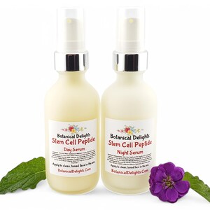 Stem Cell Peptide Day & Night Facial Serum - Double Serum for Short-Term and Long-Term Results image 4