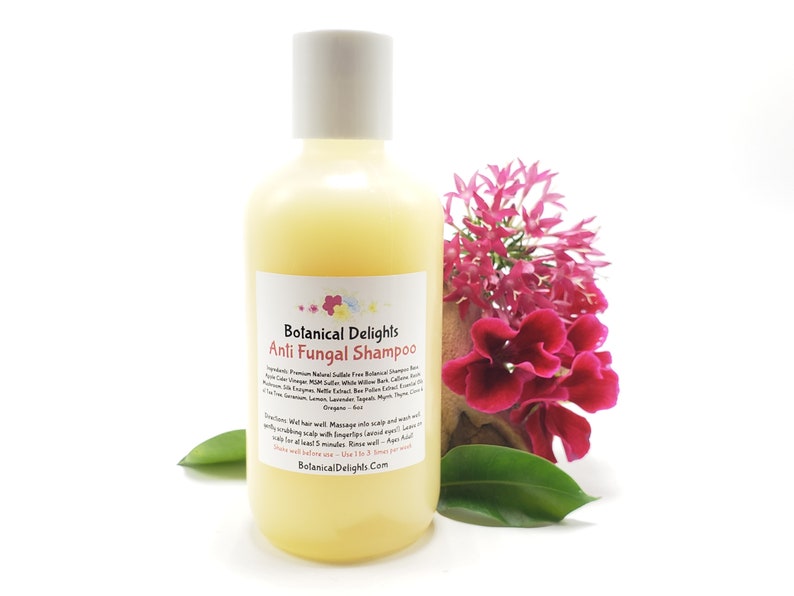 ANTI FUNGAL Shampoo Haole Rot Tinea Versicolor Scalp Etsy