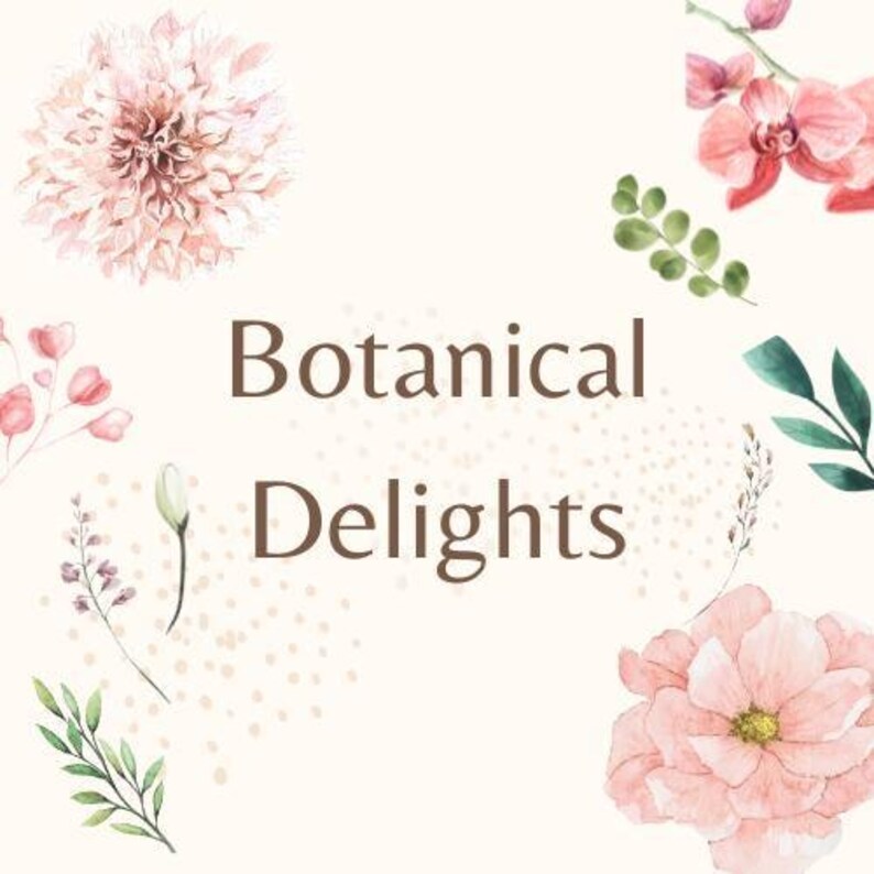 Gentle Botanical Skincare, Facial Cleanser, Botanical Moisturizer and Botanical Toner - Calendula, Aloe Vera, Skincare Set, Sensitive Skin bild 14
