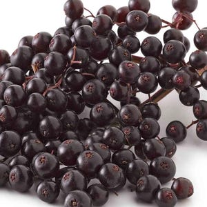 Chebula & Elderberry Facial Serum, A true botanical serum for hydrated, dewy, glowing skin, With Retinol, Hyaluronic Acid image 6