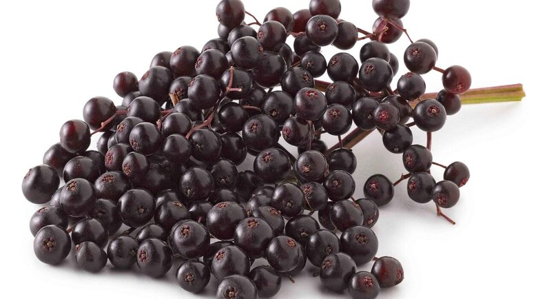 Chebula & Elderberry Facial Serum, A true botanical serum for hydrated, dewy, glowing skin, With Retinol, Hyaluronic Acid image 6