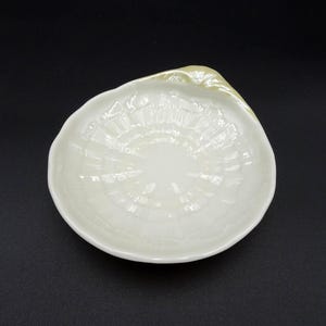 May include: A white, shell-shaped ceramic dish with a textured interior. The dish has a scalloped edge and a slightly raised rim. The dish is approximately 6 inches in diameter and is suitable for serving small portions of food or as a decorative item.