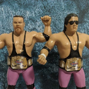 Pu&ograve; includere: Due action figure di lottatori, ognuna con un body nero, pantaloni rosa e una cintura da campione. Una figura ha la barba, l'altra indossa occhiali da sole. Le cinture riportano "Wrestling Champions".