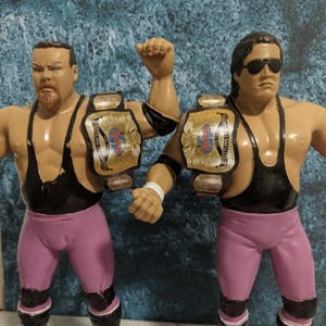 Pu&ograve; includere: Due action figure di wrestling vintage. Le figure sono muscolose, indossano canotte nere, collant rosa e stivali neri. Ogni figura ha una cintura da campionato. Una figura ha la barba e l'altra indossa occhiali da sole.