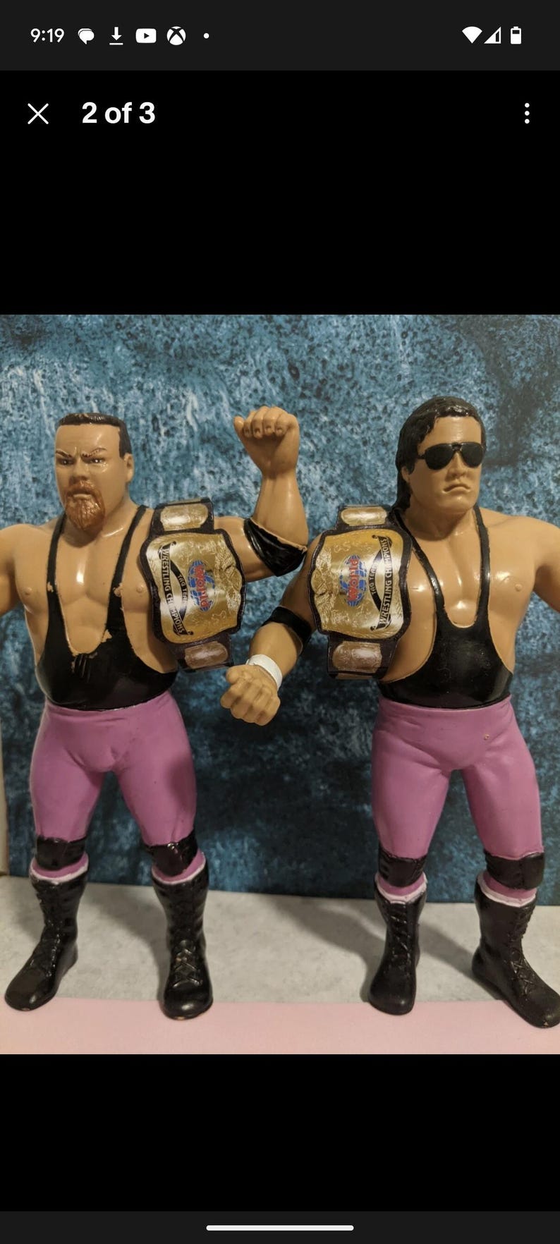 Pu&ograve; includere: Due action figure di wrestling vintage. Le figure sono muscolose, indossano canotte nere, collant rosa e stivali neri. Ogni figura ha una cintura da campionato. Una figura ha la barba e l'altra indossa occhiali da sole.