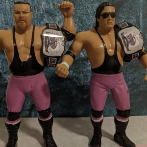 Pu&ograve; includere: Due action figure di lottatori, ognuna con canottiere nere, collant rosa e stivali neri. Tengono cinture da campionato. Una figura ha la barba e l'altra indossa occhiali da sole.