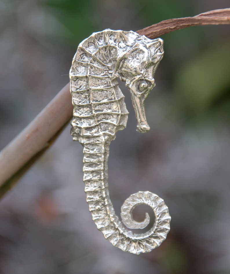 seahorse pendant.