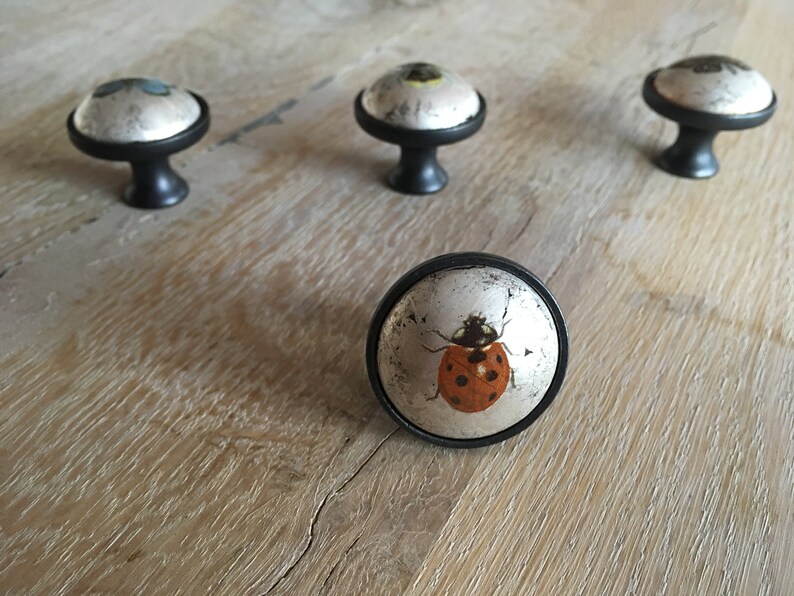 Insect Drawer Knobs Set of 4 Kilnfired Glass and Bronze Door Etsy UK