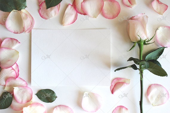 Rose Petals Card Mockup Psdjpg Wedding Stationary
