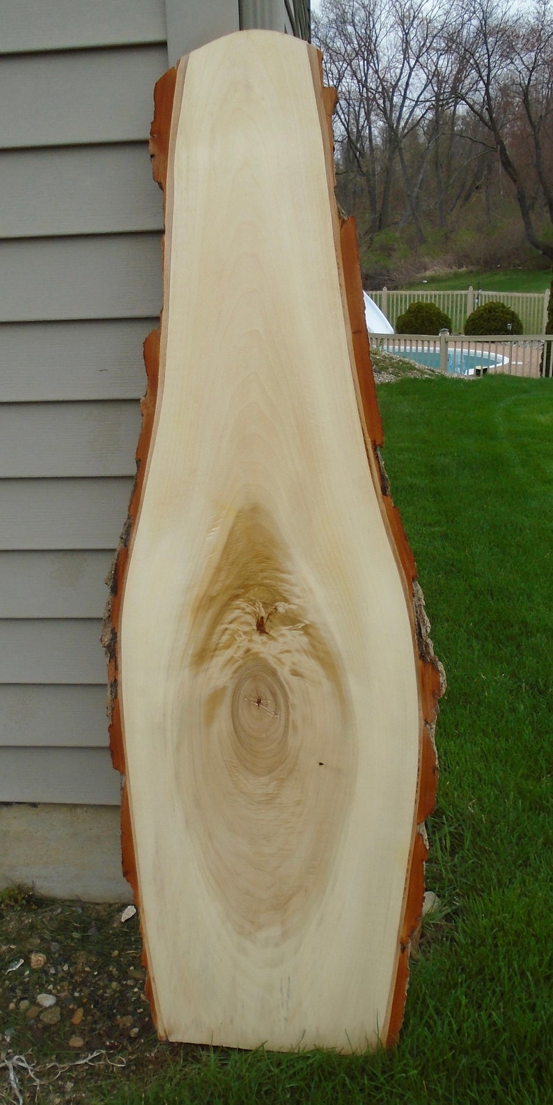 Cotton Wood Live Edge Lumber Slab Craft Art Project 47 Etsy