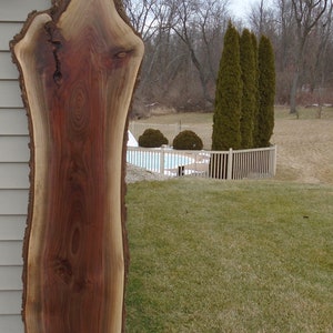 Black Walnut Live Edge Lumber Slab Kiln Dried Figured Fancy Bar Art Project 83&quot; Long 18&quot; Max. Width 1 3/8&quot; Thick Planed Sanded
