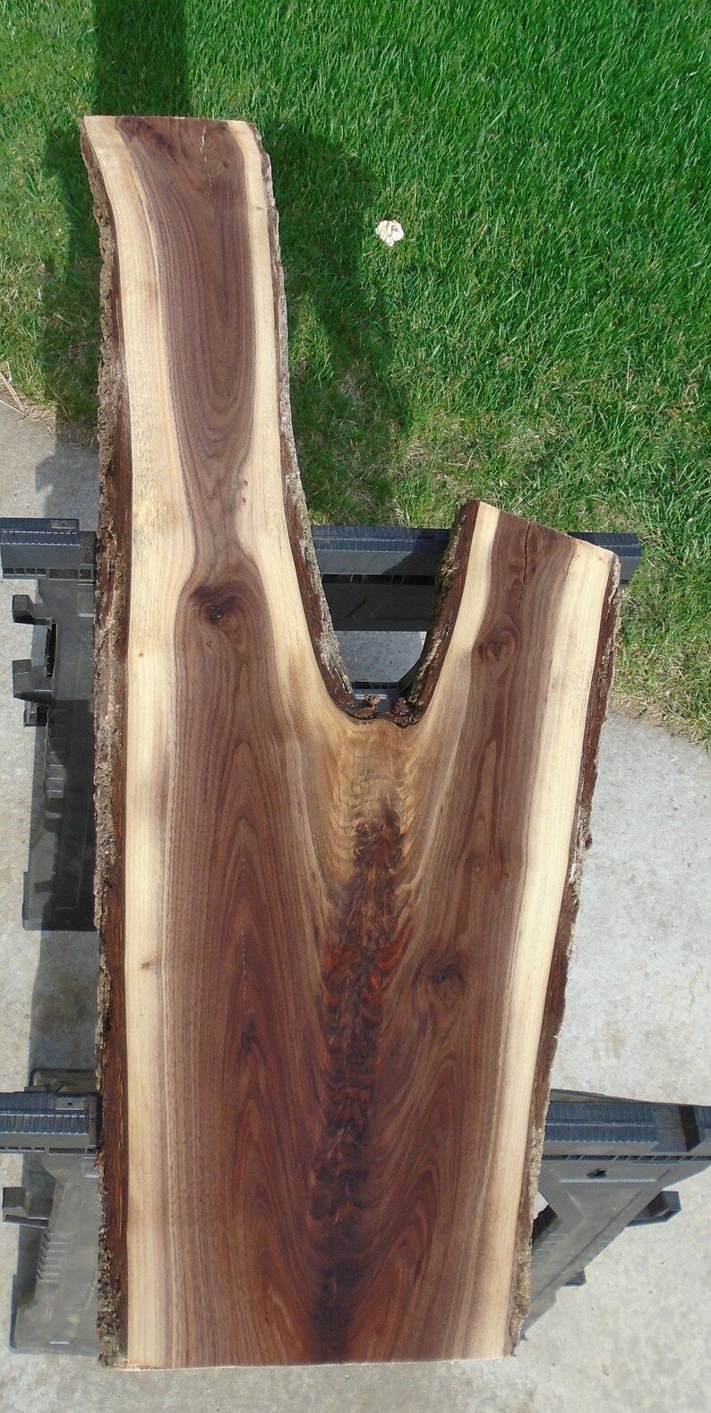 Black Walnut Live Edge Lumber Slab Table Craft Art Bar 52 Long 13 to 20 Wide 2 116 Thick Planed Sanded