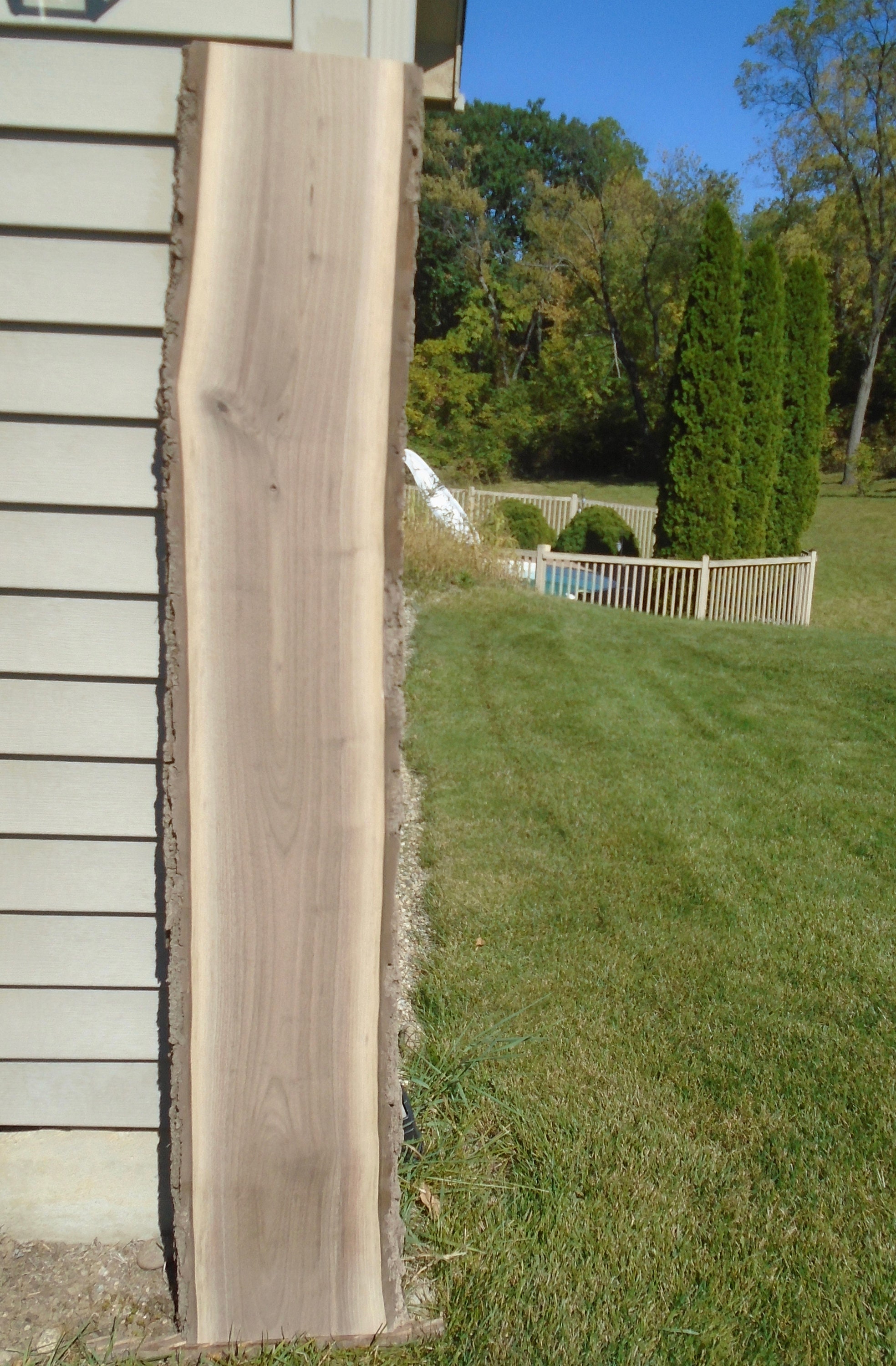 Black Walnut Live Edge Lumber Slab Kiln Dried Shelf Decor Art Craft 58