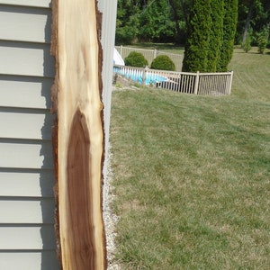 May include: A natural wood slab with a light brown and dark brown grain pattern. The slab has a live edge, showcasing the natural shape of the wood. The wood is leaning against a light gray wall. The background includes a green lawn and trees.