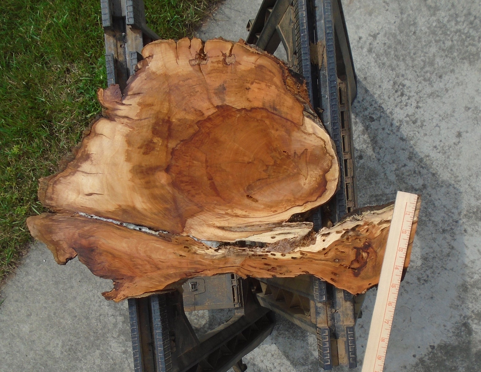 Apple Wood Live Edge Lumber Slab Mount Plaque Decor Art Craft Etsy