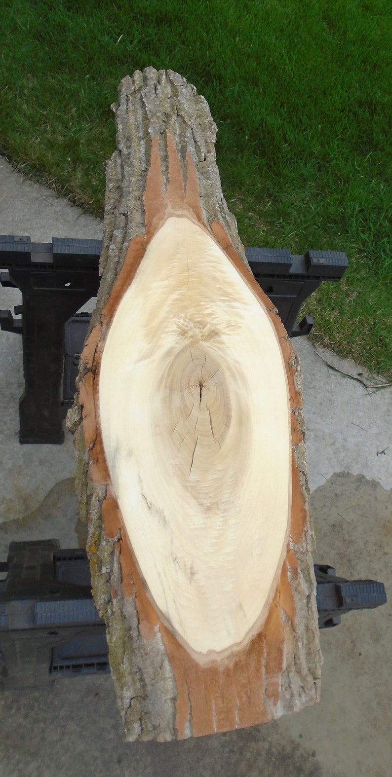 Cotton Wood Live Edge Lumber Slab Craft Art Project 47 Etsy