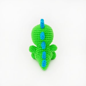 Dinosaur Baby 5 Digital Crochet Pattern in English Instant PDF Download image 8