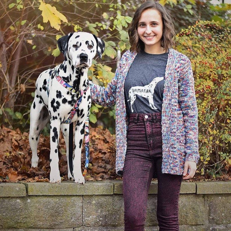 May include: A Dalmatian dog with black spots stands next to a person wearing a gray t-shirt with a Dalmatian graphic and the word "Dalmatian". The person is wearing a multicolored cardigan and burgundy jeans. The dog is wearing a colorful harness.