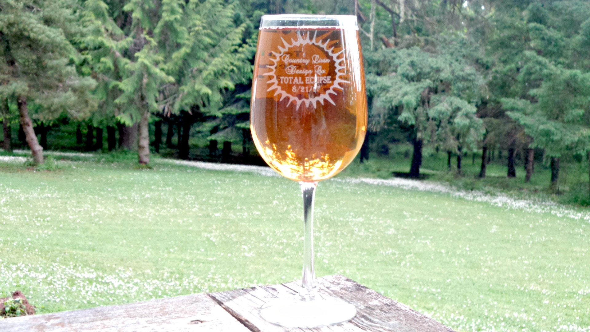 Eclipse Glasses Total Eclipse Party Wine Glasses August 21 Etsy