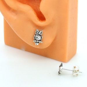 Owl Earrings, Animal Earring, Kid Ear Stud, Small Cartilage, Simple Plain Silver Ear Stud, Minimal Minimalist Ear Stud, Helix, Tragus