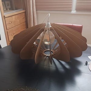 Puede incluir: Una l&aacute;mpara colgante que presenta una serie de listones de madera de color marr&oacute;n claro curvados, dispuestos en un patr&oacute;n circular y radial. La estructura rodea una bombilla de cristal transparente y estriado, suspendida de un cable blanco.