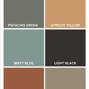 May include: A color palette chart titled SHADES INSPIRED FROM NATURE featuring six rectangular swatches labeled PISTACHIO GREEN, APRICOT YELLOW, MISTY BLUE, LIGHT BLACK, TERRACOTTA RED, and BROWN, arranged in a grid with white borders.