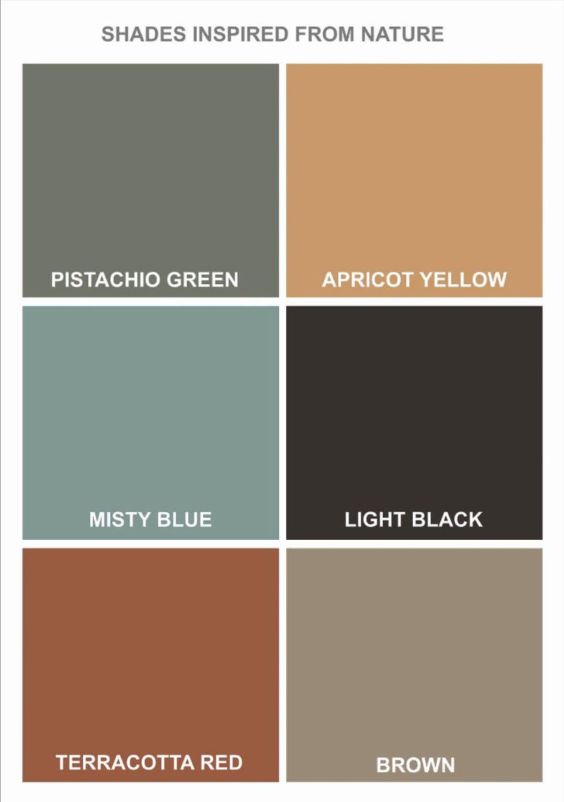 May include: A color palette chart titled SHADES INSPIRED FROM NATURE featuring six rectangular swatches labeled PISTACHIO GREEN, APRICOT YELLOW, MISTY BLUE, LIGHT BLACK, TERRACOTTA RED, and BROWN, arranged in a grid with white borders.