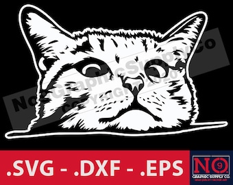 Cat SVG, Cat Decal Art, Kattenkop, Kat Gluren Over Toonbank, Kat Stencil, Cameo, Cricut, Cat Clip Art, Cut File, No9GraphicSupplyCo
