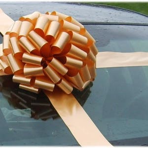 Car Bow Gift Kit Birthday Anniversary Graduation Bow Free Print Fast Shipping Gold