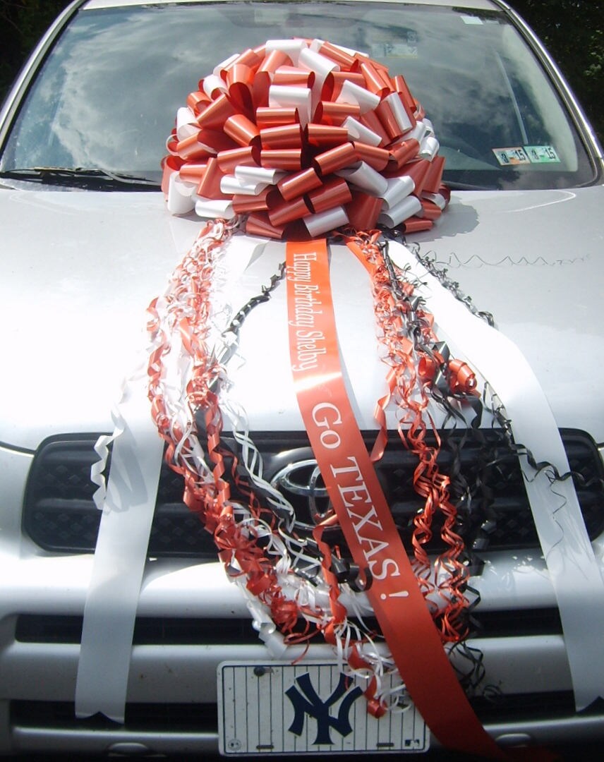 Big Bow for Big Toy Car Large Gift 14in Bow YOU Choose Colors N