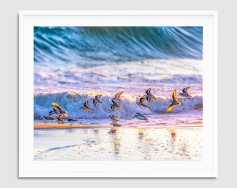 Shorebirds at Sunrise ~ Destin, Miramar Beach, Florida Photography Print -- Emerald Coast Photos