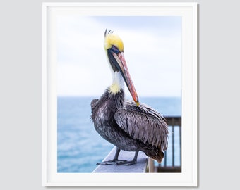 Portly Pelican at the Pier ~ Destin, Miramar Beach, Florida Photography Print or Canvas Gallery Wrap -- Emerald Coast Photos