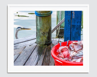 Sneaky Heron ~ Destin Harbor, Florida Photography Print -- Emerald Coast Photos