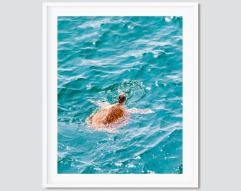 Swimming Sea Turtle ~ Destin, Miramar Beach, Florida Photography Print -- Emerald Coast Photos