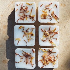 Mango Coconut Pineapple | Wax Melts | Tarts | Beneath The Mango Tree | Botanical | Plastic Free Packaging | Zero Waste | Ecofriendly
