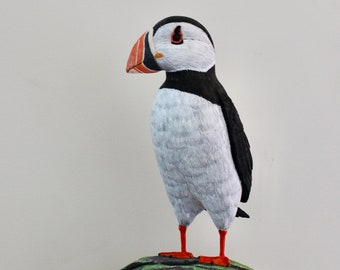 The Sentinel - an Atlantic Puffin guarding her nest