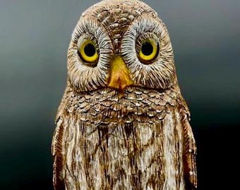 Northern Pygmy-Owl perched upon a Cactus