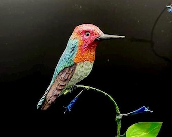 Anna's Hummingbird on Black & Blue Salvia