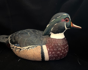 Drake Wood Duck