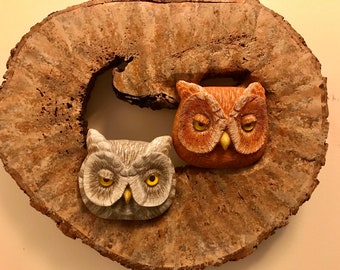 Eastern Screech Owls