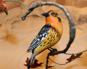 Carved Blackburnian Warbler in Fall Foliage