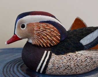 Mandarin Duck on a Pond