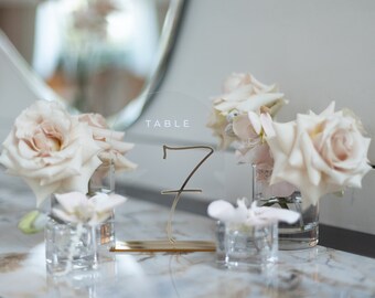 Kaizuca Set di 8 Numeri da Tavolo in Acrilico con Supporti in Legno