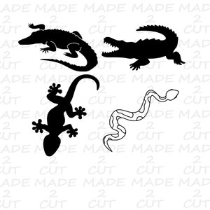 Reptile SVG cut file - Alligator - Lizard - Snake - SVG - Reptile Design