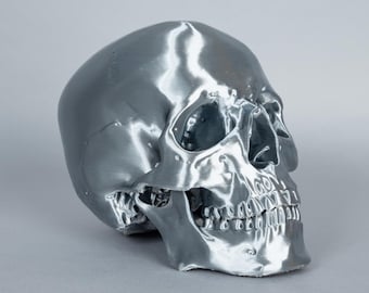 Anatomical Skull Decor – Metallic Gold or Silver 3D Printed Skull – Gothic Home Decor, Alternative Ornament