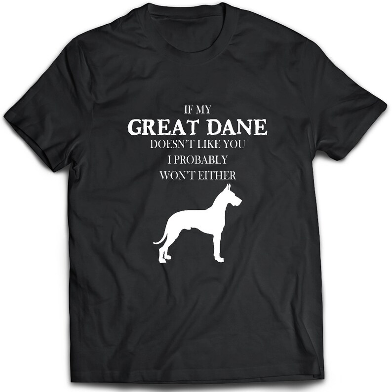 dane shirt