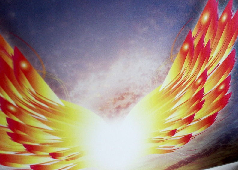 Angel forex