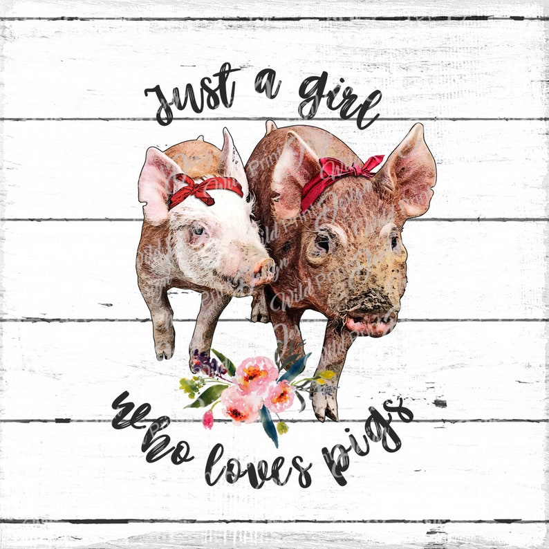 Schweine-Küchentücher „Just A Girl Who Loves Pigs“ – 40,6 X 73,7 Cm, Saugstark, Schnell Trocknend, Bauernhaus-Deko