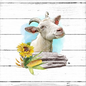 Clipart Farm Life Goat 2, Capra PNG, Download immediato, Grafica a sublimazione, Trasferimento a sublimazione, Design Clip Art, Stampa Dtg