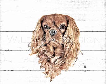 Diseño de imágenes prediseñadas de Cavalier King Charles Spaniel Ruby, fondo transparente, PNG, diseño de logotipo personalizado para empresas, transferencia por sublimación